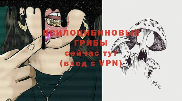 MDMA Бородино