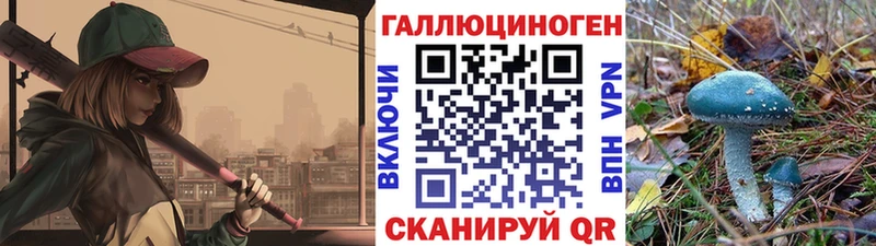 Псилоцибиновые грибы GOLDEN TEACHER  Горно-Алтайск 